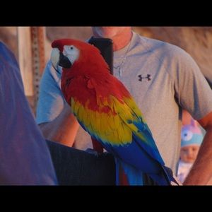 Meet your Posher, Robert